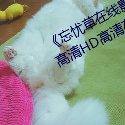 《忘忧草在线(線)影视WWW日本图片(片)》高清(清)HD高(高)清在(在)线(線)观看
