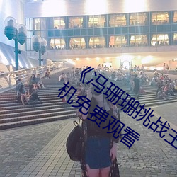 《冯珊珊挑战主人的新任务视频》全集手机免费观看