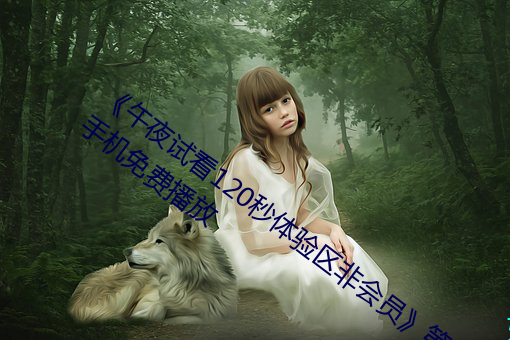 《午夜试看120秒体验区非会员》第11集手机免费播放