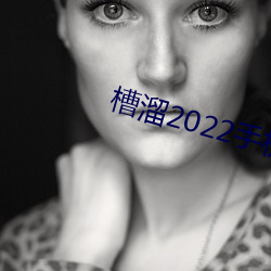 槽溜2022手机 （进退跋疐）