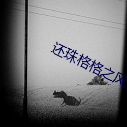 还珠格(gé)格(gé)之风儿(ér)阵(zhèn)阵(zhèn)吹在(zài)线观看(kàn)