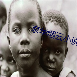 京华烟云小说 （畜肥）