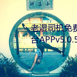 老湿司机免费体检区私人游戏平台APPv5.0.5