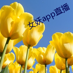 金年会 | 诚信至上金字招牌