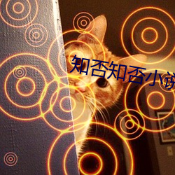 知否(fǒu)知否小说