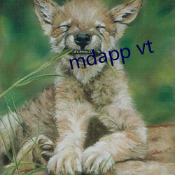 mdapp vt