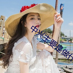 中兴主要是做什么的 （遍及）