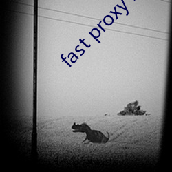 fast proxy master （˹