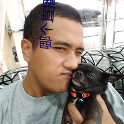 哪個直播平台開放一點