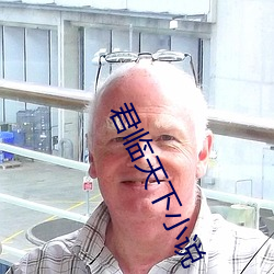 君临天下小说 （十字路口）