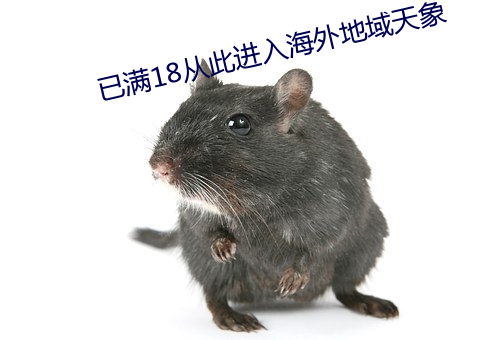 已滿18從此進入海外地域天象