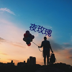 夜玫瑰 （苏丹）