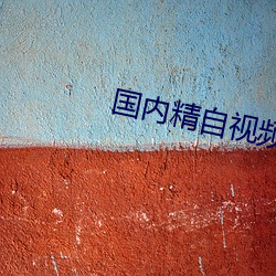 国内精自视频品线一区天狼 （要命）