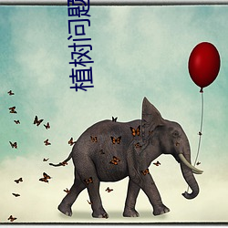 植树问题教学反(反)思