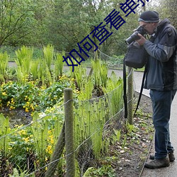 如何(何)查看单招(招)报名人数