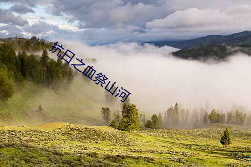 抗(抗)日之(之)血(血)祭山(山)河