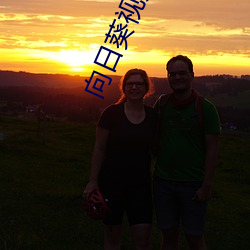 向日葵视(shì)频(pín)在线观(guān)看(kàn)免费