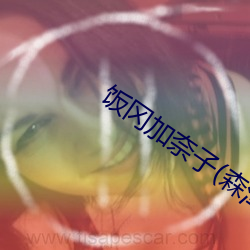 饭冈加奈子(森泽佳奈)作品CESD