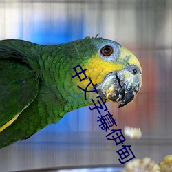 中文字幕伊甸