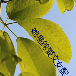 &#12298;&#x793E;&#20250;&#x9AD8;&#23618;&#x7535;&#35270;&#x5267;&#20840;&#x96C6;&#20813;&#x8D39;&#35266;&#x770B;&#12299;