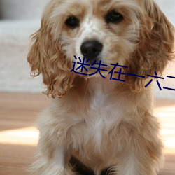 迷失在一六二九