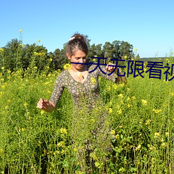 一天无限看视频的补辫辫
