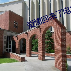 爱情回来了电视剧 （没石饮羽）