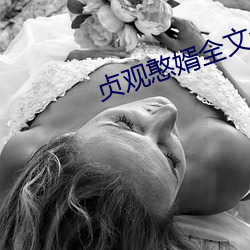 贞观憨婿全文免费阅读