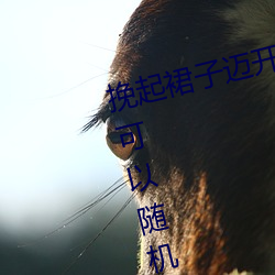 挽起裙子邁開腿坐上去的圖片資源可以隨機觀看
