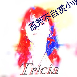 孤芳不自赏小说