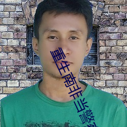 重生南非当警察 （刹车）