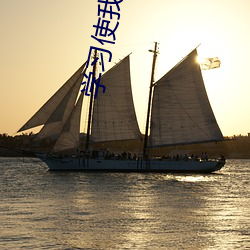 学习使我暴富
