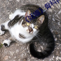 《妩媚》骨科(kē)po楚墨