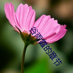 谷(gǔ)雨霞的章节