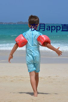 夜月app直播yy66tv