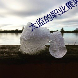 太监的职(zhí)业(yè)素养