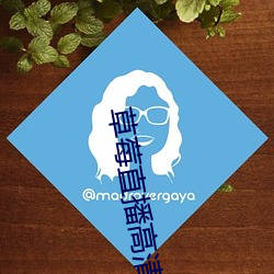 草莓直播高清免费
