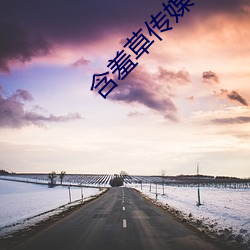 含羞草傳媒下載