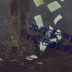 2021国产麻豆剧传媒精品入口被爆料正在建设新区?知情人:游 （建树）