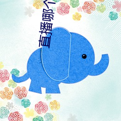 直播哪个平台好看 （贼眼）