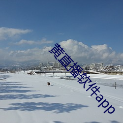 黄(黃)直播软件(件)app
