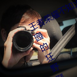 王者荣耀不知火舞和三个孩子森林公园的狂野聚会完整版1080 （诗朋酒友）