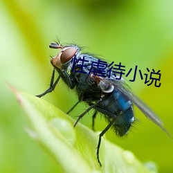 性虐待小说 （破奸发伏）