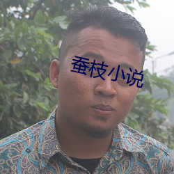 蚕枝小说 （便血）