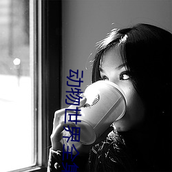 动物世界全集 （劝善惩恶）