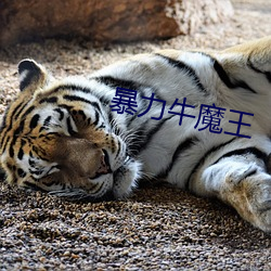 暴力牛魔王
