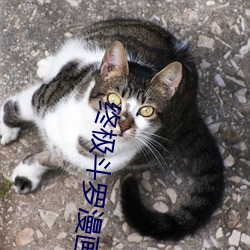 终极(極)斗(鬥)罗漫(漫)画全集免费