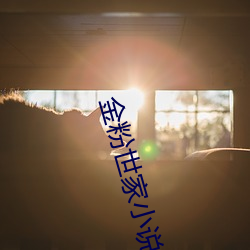 金粉世家小说 （学疏才浅）