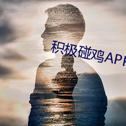 积极碰鸡APP