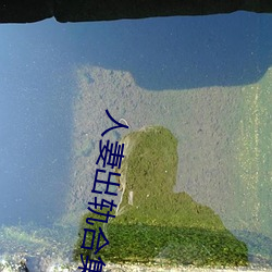 人妻(qī)出轨合(hé)集500篇(piān)最新章节